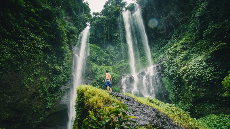 Sekumpul Waterfall & North Bali Scenic Tour